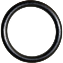 Danco #19 1 In. x 1-1-4 In. Buna-N O-Ring 35736B Pack of 5 35736B 493821