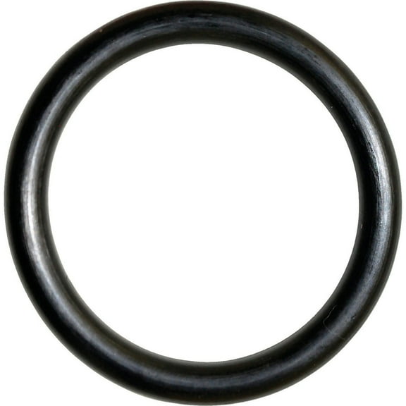 Danco #19 1 In. x 1-1-4 In. Buna-N O-Ring 35736B Pack of 5 35736B 493821