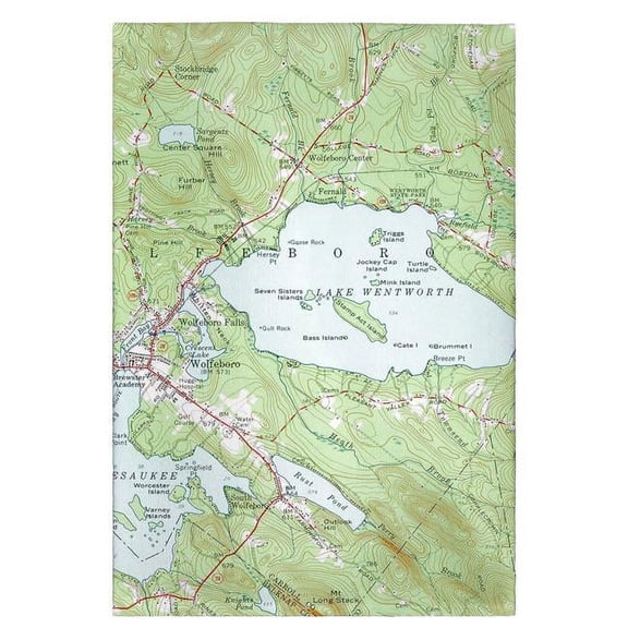Betsy Drake GT654 Lake Wentworth, NH Nautical Map Guest Towel