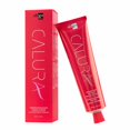 thumbnail image 1 of Oligo Calura Permanent Shine Hair Colour 2fl.oz. (P82), 1 of 3