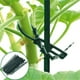 thumbnail image 3 of 50 clips de soporte para plantas, ideales para sostener frijoles, tomates, pepinos y otras plantas pequeñas de interior, plantas trepadoras, 3 of 5