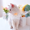 thumbnail image 1 of CHUANK Excellent Pet Necklace Lace Edge   for Daily Wear   Decorating, 1 of 7