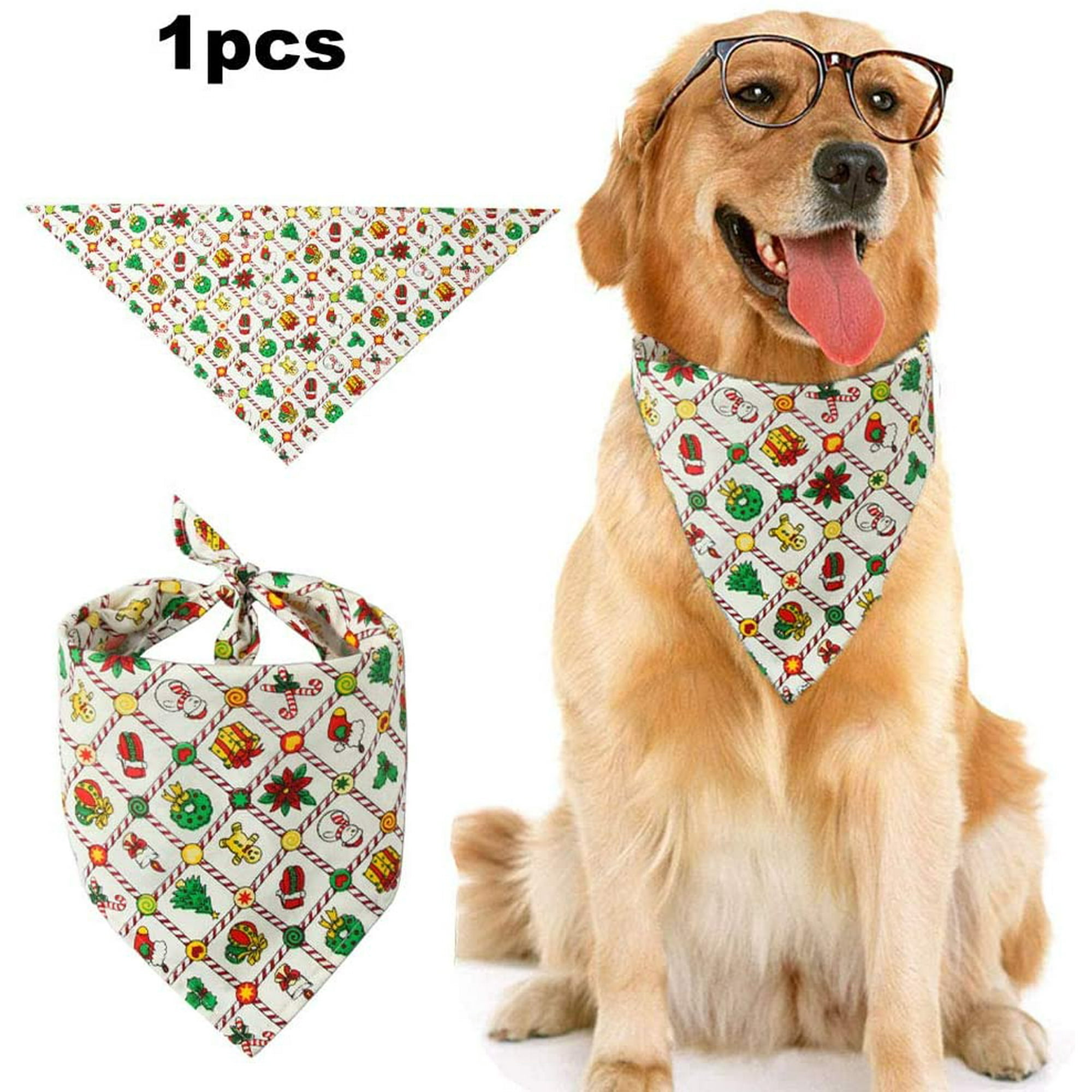 Is Dogs Saliva Clean