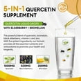Quercetin Liquid Drops Quercetin Supplements 1000mg 4X Stronger