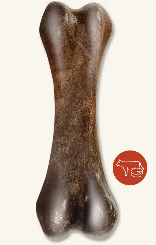 Zeus NOSH Strong Chew Bone for Dogs, Beef & Cheese Flavor, Large