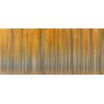 thumbnail image 2 of Jacobs, Lydia 24x13 Black Ornate Wood Framed with Double Matting Museum Art Print Titled - Autumn Delight, 2 of 4
