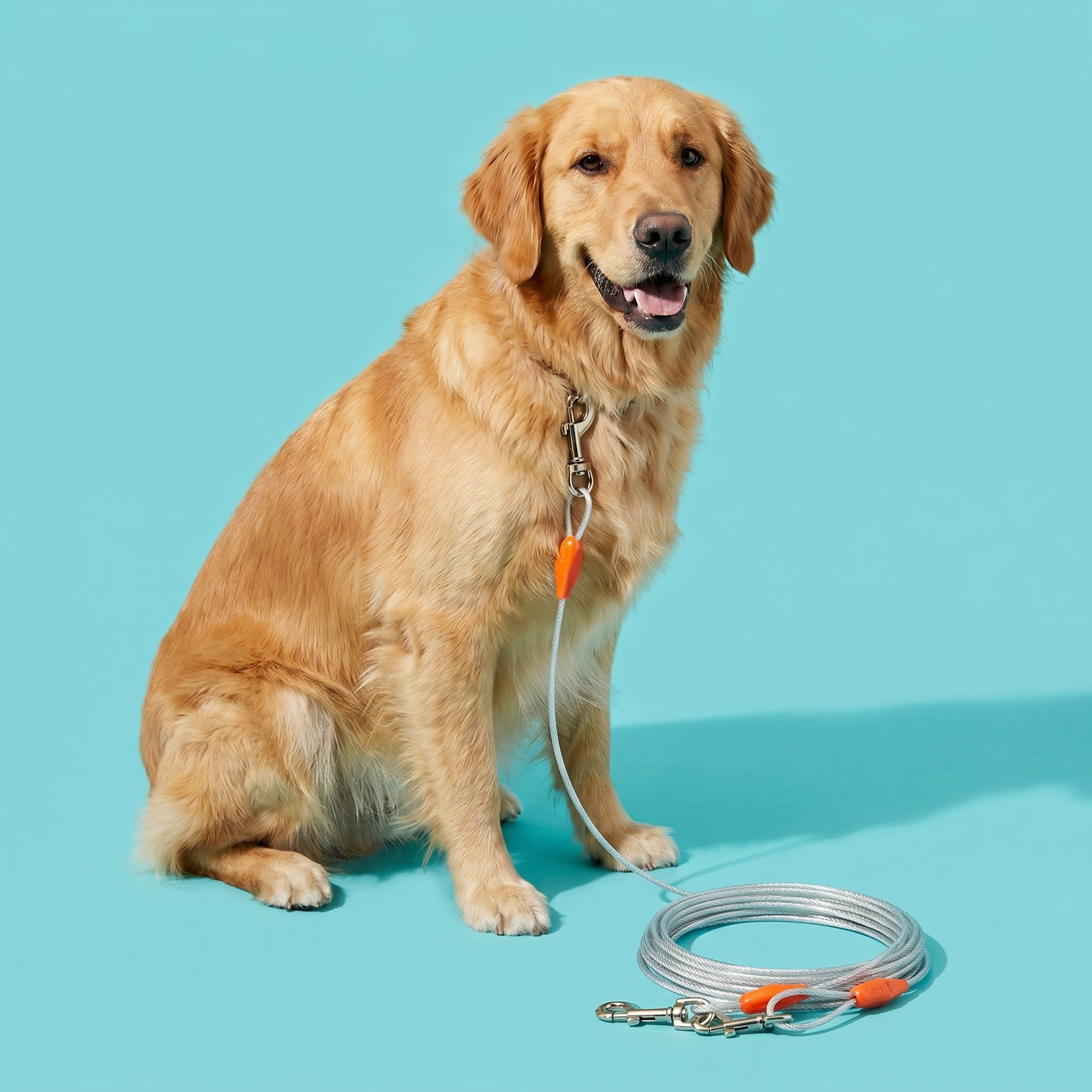 Vibrant Life Reflective Vinyl-Covered Tie-Out Cable for Dogs, L, 40'