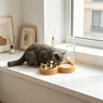 thumbnail image 5 of Cififendec 2-in-1 Pet Feeder and Waterer, 10.63"×7.09", No-Spill Cat and Dog Bowl Set, Detachable Food and Water Station for Small Pets with Auto Water Refill(Yellow), 5 of 5