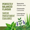 thumbnail image 2 of Celestial Seasonings Sleepytime Wellness Tea, Caffeine Free Herbal Tea, 2 of 7