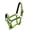 Lime, variant on Adjustable Cob Size Neoprene Lined Nylon Halter w/ "Running Horse" Overlay (Red)