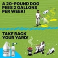 thumbnail image 5 of Eliminador de olores para mascotas Urine & Odor Turf Turf Detox, 1 galón, 5 of 5