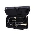 thumbnail image 3 of SUMMER SALE 2022 Flugel Horn 3 Valve Black Bb Pitch With Free Hard Case & MP, 3 of 3