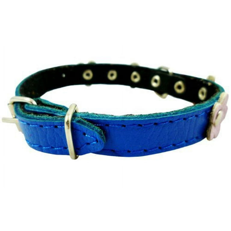 Genuine Leather Designer Dog Collar, Daisy, Wide