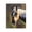 Southwestern Horse Portrait_v4, variant on Stupell Industries Chickadee on Branch Animals Painting Black Floater Framed Canvas Art Print Wall Art, 17 x 21
