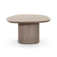 thumbnail image 3 of Rhema Washed Ash Oblong Coffee Table, 3 of 4