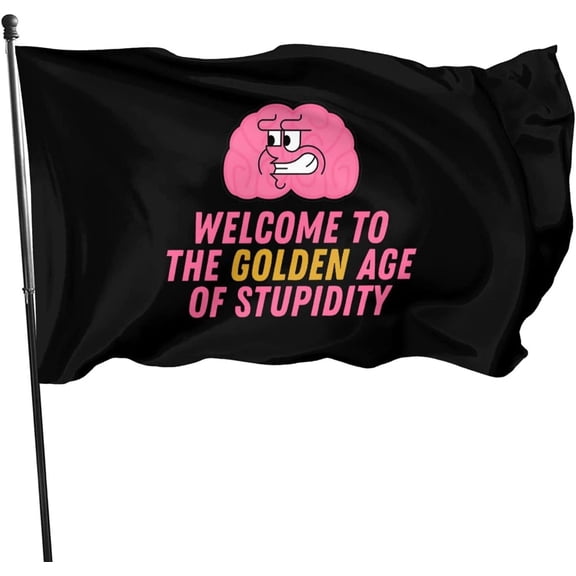Welcome To Golden Age Of Stupidity Slogan 3x5 Ft Outdoor Banner House Courtyard Garden Decor Flag