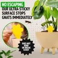 thumbnail image 2 of Fungus Gnat Traps - 60 Pack, Highly Effective Gnat Traps for House Indoor, Yellow Sticky Trap for Plants, Non-Toxic & Nature-Friendly, Up to 3 Months, 2 of 7