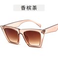 thumbnail image 5 of New Korean Fashion Aliexpress Sunglasses 5154 Trendy Women\\\'s Transparent Sunglasses Net RedLeopard print, 5 of 5