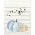 thumbnail image 2 of Allen, Kimberly 25x32 White Modern Wood Framed Museum Art Print Titled - Grateful Pumpkins 1, 2 of 4