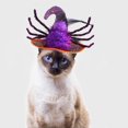 thumbnail image 4 of Sombrero para mascota, tocado, truco, disfraz, modelado de varios pies, accesorios para perros y gatos, suministros para mascotas, 4 of 5
