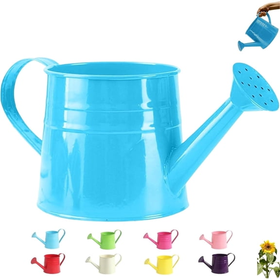 Metal Garden Watering Can, 1L Galvanized Steel Watering Kettle with Long Spout & Handle for Indoor Outdoor Plants