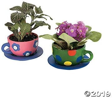 Fun Express 6 Pieces DIY Teacup Planter with Saucer, Ceramic Crafts and Kids Do it Yourself Projects