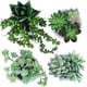 thumbnail image 3 of 4 piezas surtidas de suculentas en macetas pequeñas, suculentas artificiales en macetas de cerámica de hormigón gris con patrón geométrico para regalo de fiesta, 3 of 3