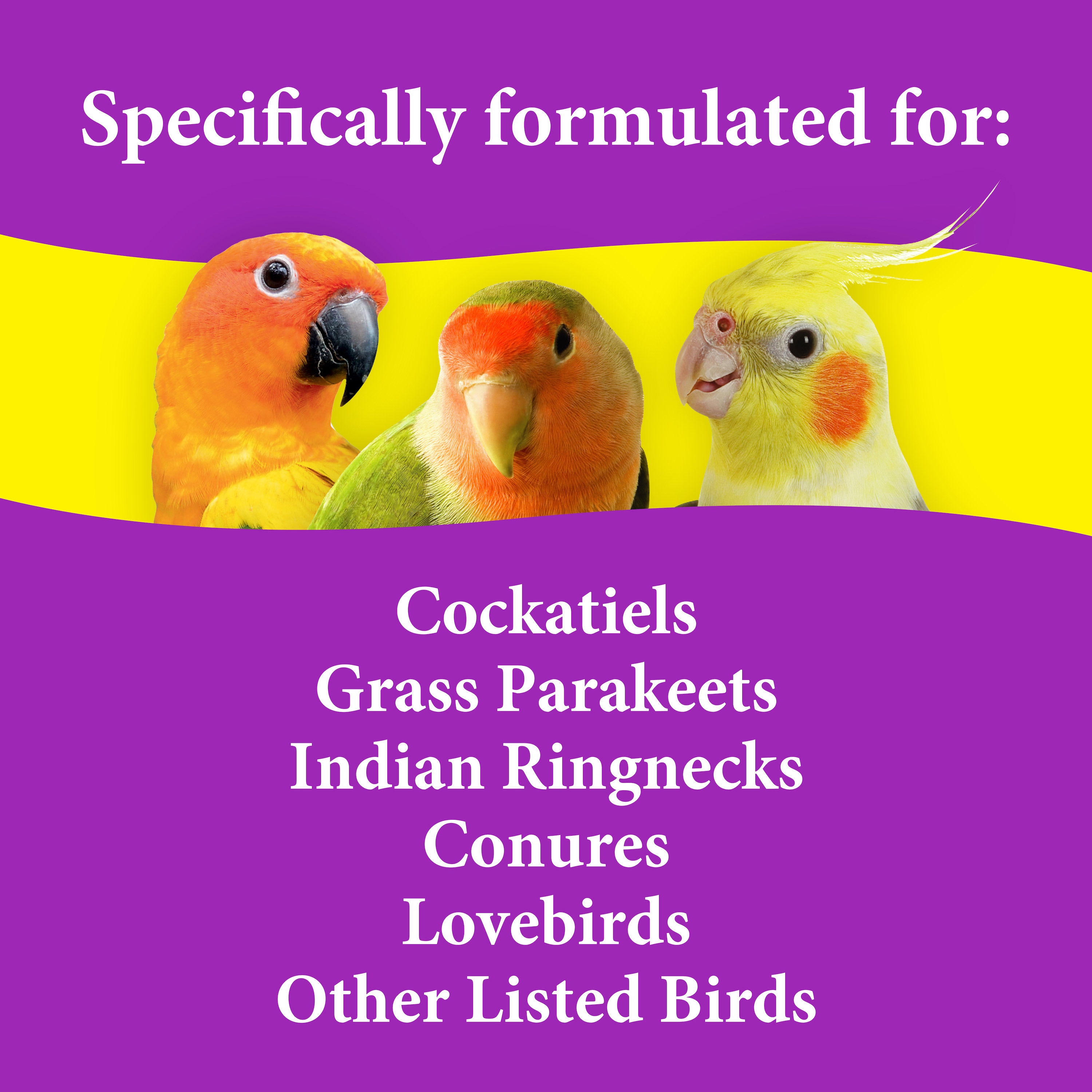 3-D Pet Products Premium Cockatiel Bird Food Seeds, with Probiotics, 4.5 lb. Stay Fresh Jar - image 5 of 15