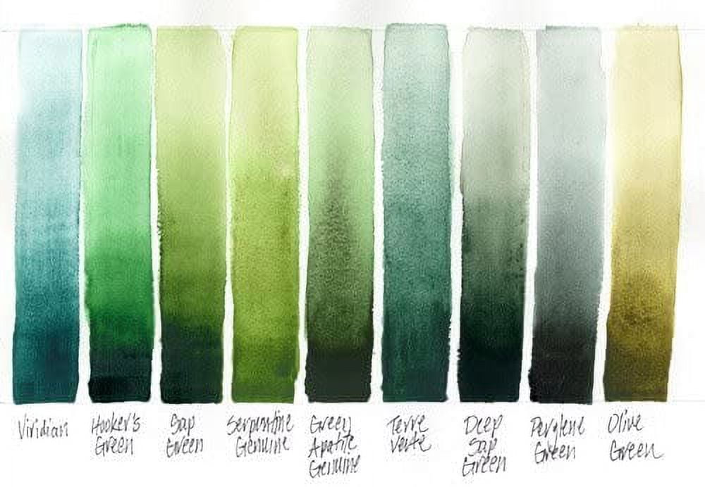 JJEAN-Daniel Smith Extra Fine Watercolor 15ml Paint Tube, Sap Green (284600102), 0.5 Fl Oz (Pack of 1)