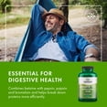 thumbnail image 4 of Swanson Betaine Hcl Hydrochloric Acid with Pepsin 250 Capsules, 4 of 9