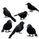 thumbnail image 2 of 6PCS/Set Black Crow Ornament, Plastic Desktop Decoration For Gifts Party Decor, 2 of 7
