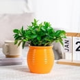 thumbnail image 4 of Transparent Spirals Pattern Flower Pot Good Air-Permeability Plant Pot for Home Garden, 4 of 4
