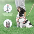 thumbnail image 5 of Puppy Harness and Leash Set - Dog Vest Harness for Small Dogs Medium Dogs- Adjustable Reflective Step in Harness for Dogs - Soft Mesh Comfort Fit No Pull No Choke, XS, 5 of 7