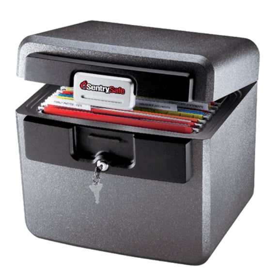 SentrySafe HD4100 Fire/Water Resistant File Document Safe with Key Lock, 0.65 Cu-Ft., Charcoal Gray