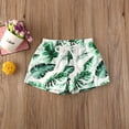 thumbnail image 2 of Sunisery Toddler Baby Boy Swim Trunks Quick Dry Cartoon Printed Elastic Waist Shorts Swimwear, 2 of 4