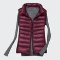 thumbnail image 2 of Hueook Winter Vest for Women Lightweight Warm Winter Coats Polar Soft Vests Outerwear with Zip Up Pockets Sleeveless Jacket for Winter 50% Off Clearance, 2 of 9