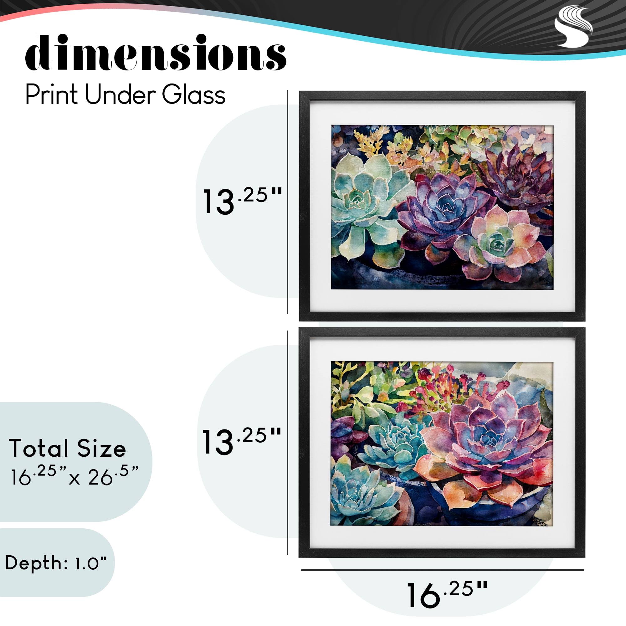 Stupell Industries Sunny Watercolor Succulents 2 Piece Black Framed Print Under Glass Set, design by Svetlana Aleynikova