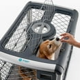 Diggs Revol Portable Travel Dog Crate with Collapsible Kennel Walls