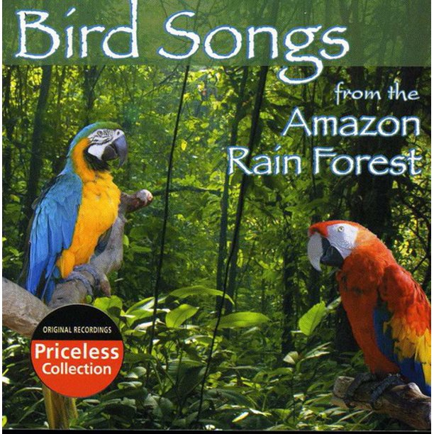 Bird Songs Of The Amazon Rain Forest