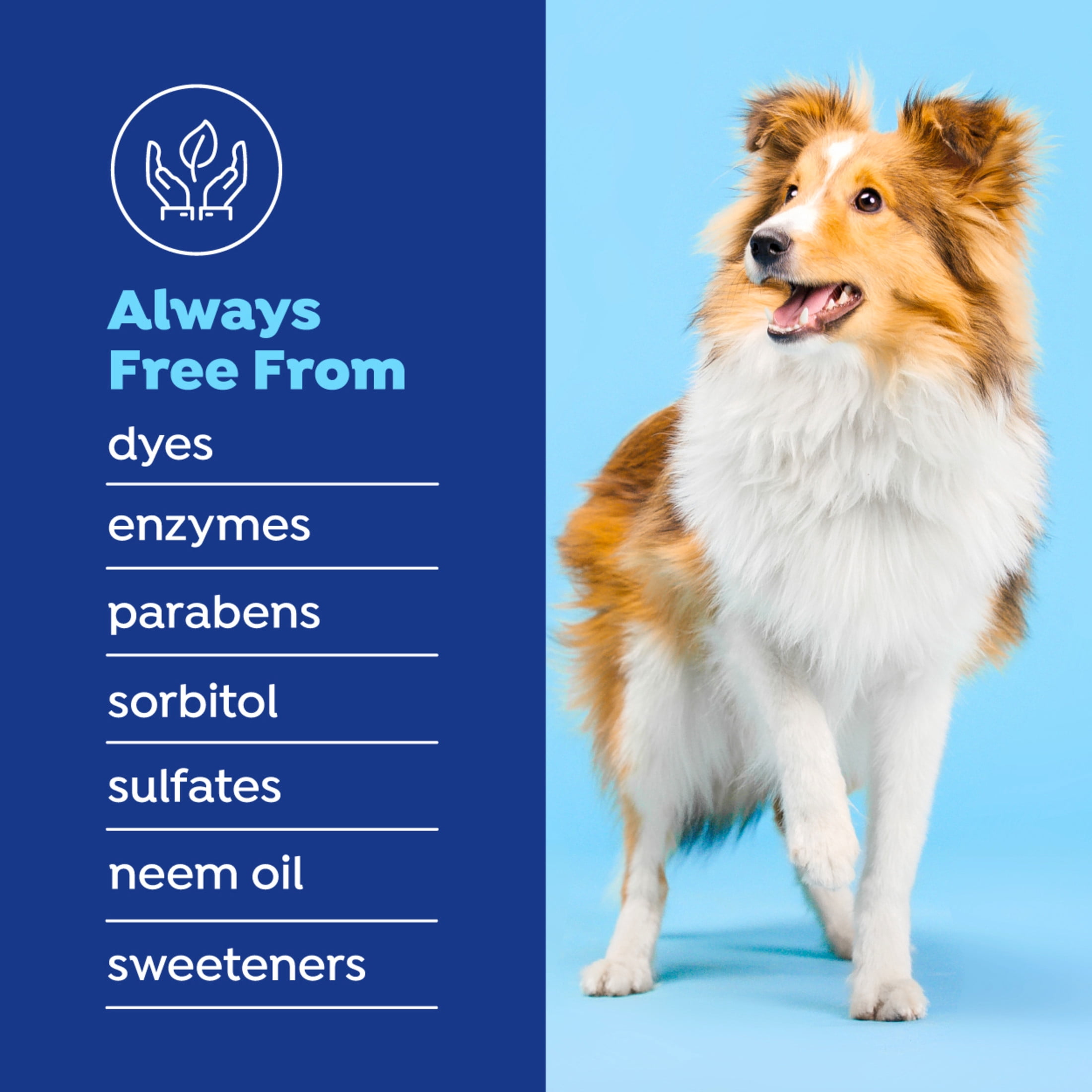(2 pack) Naturel Promise Fresh Dental Water Additive for Dogs Unscented, 1 16 fl oz Bottle