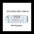 thumbnail image 3 of Interruptor Inteligente WiFi de 2 Canales, Temporizador DIY, AplicacióN 85-265V, USB, 5V, 2,4G, MóDulo de AutomatizacióN del Hogar WiFi para Alexa, Google Home, IFTT, 3 of 5