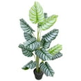 thumbnail image 4 of Northlight Potted Two Tone Green Calathea Artificial Floor Plant - 4', 4 of 7