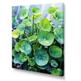 thumbnail image 2 of Designart "Charm Of Realistic Greens I" Violets Canvas Wall Art, 2 of 7