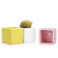 thumbnail image 2 of Square Succulent Planter (Set of 4, Assorted Colors) Ceramic Pot with Gardening Drainage Hole for Home Decoration, Ideal for Middle to Small Size Cactus Plant Flower Bonsai, 3 inch, 2 of 7