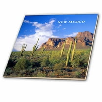 3dRose, Cactus Country In New Mexico, 6 Inch Ceramic Tile