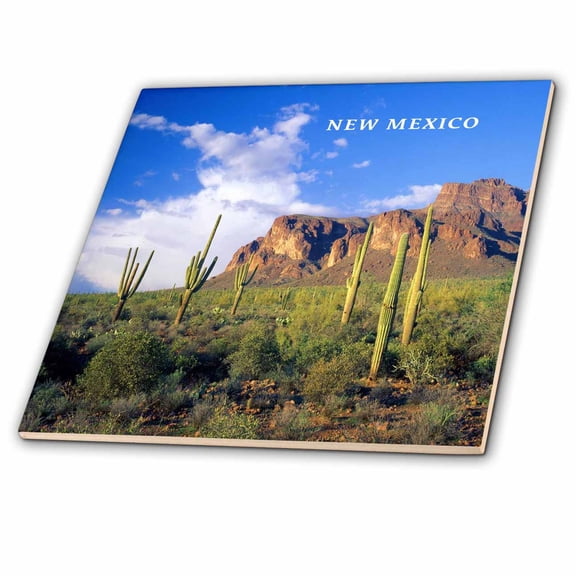 3dRose, Cactus Country In New Mexico, 6 Inch Ceramic Tile