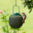 thumbnail image 3 of Perky-Pet Green Seed Ball Wild Bird Feeder, 3 of 6