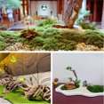thumbnail image 5 of House Carpet Living Room Couch Throw Bryophyte Wall Shop Window Landscaping False Moss Bonsai Micro Decoration False Moss Immortal Moss Full Size Blanket Warm Power Throw Blanket, 5 of 9