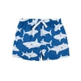 thumbnail image 5 of Gerber Baby and Toddler Boy Rashguard and Trunks 2- Piece Swim Set with UPF 50+, Sizes 0/3M - 5T, 5 of 8