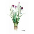 thumbnail image 3 of Jensen, Asia 17x24 Black Modern Framed Museum Art Print Titled - Chives, 3 of 5